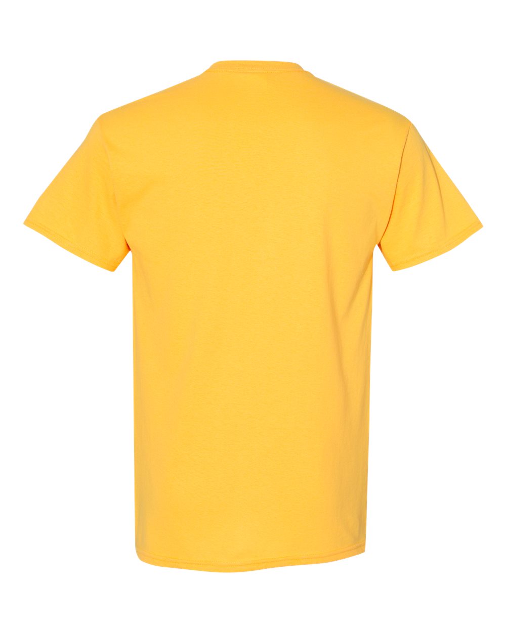Gildan 5000 Unisex Heavy Cotton™ T-Shirt - Daisy - Back View