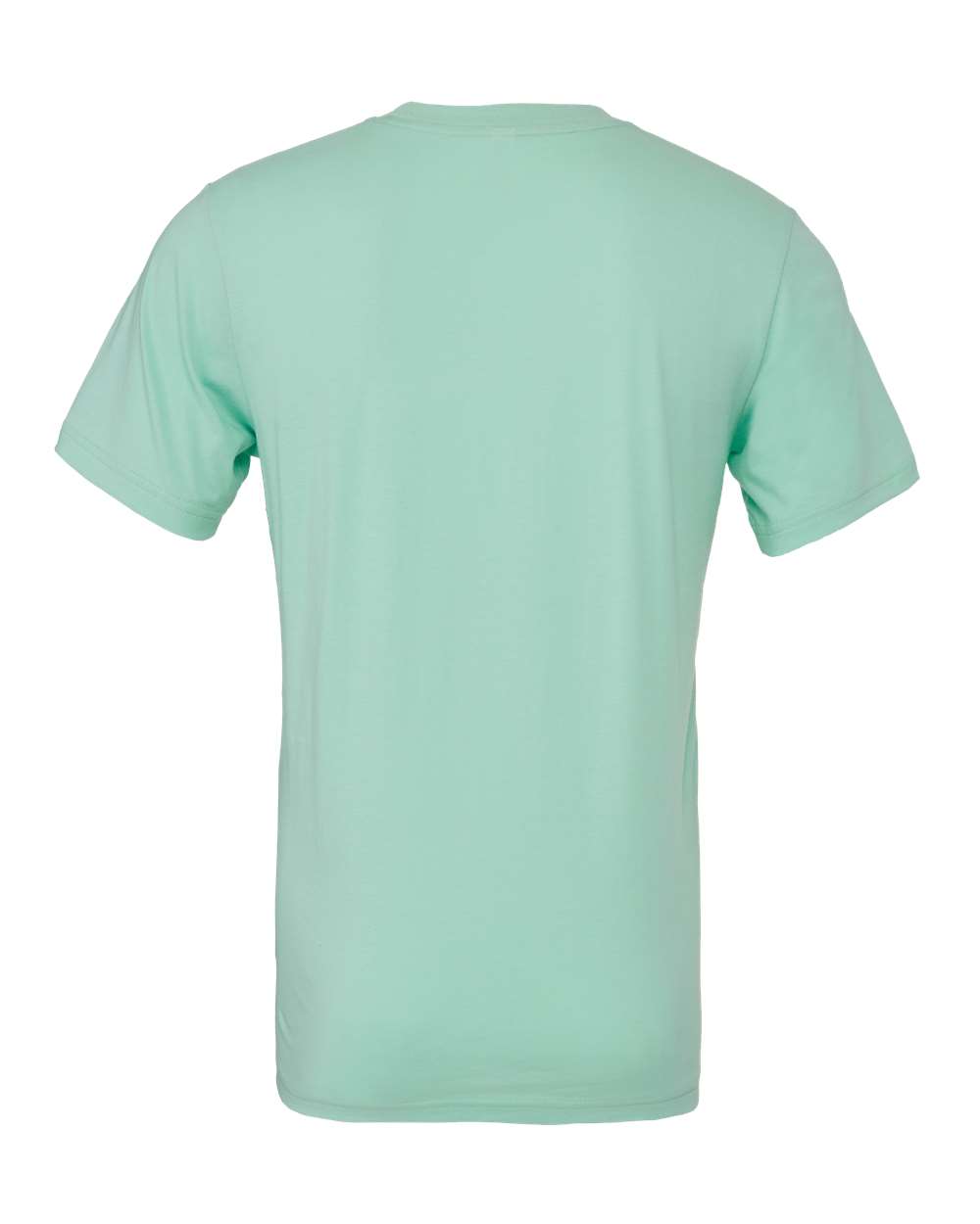 BELLA + CANVAS 3001 Jersey Tee - Mint - Back View