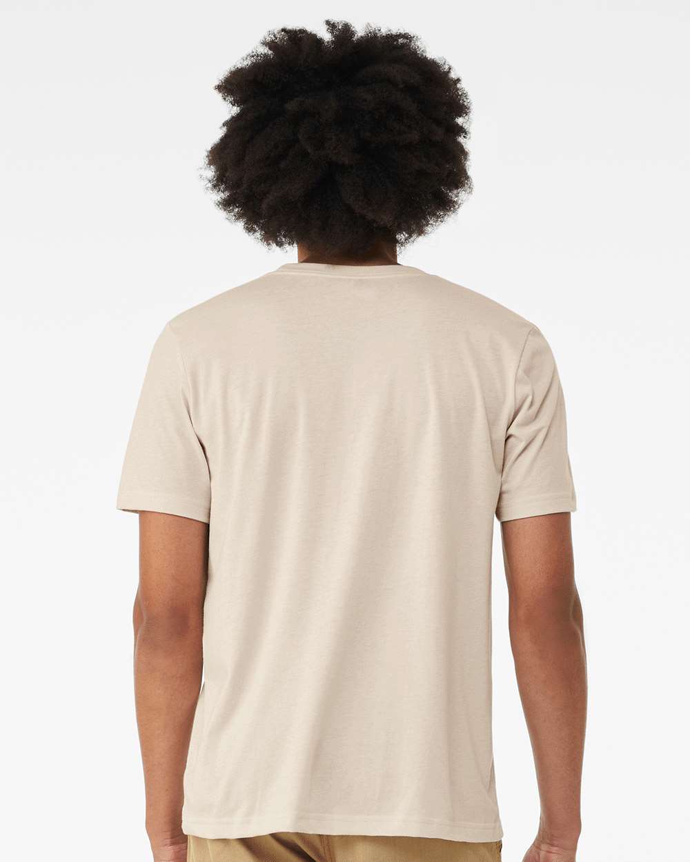 BELLA + CANVAS 3001 Jersey Tee - Dust - On Model Back