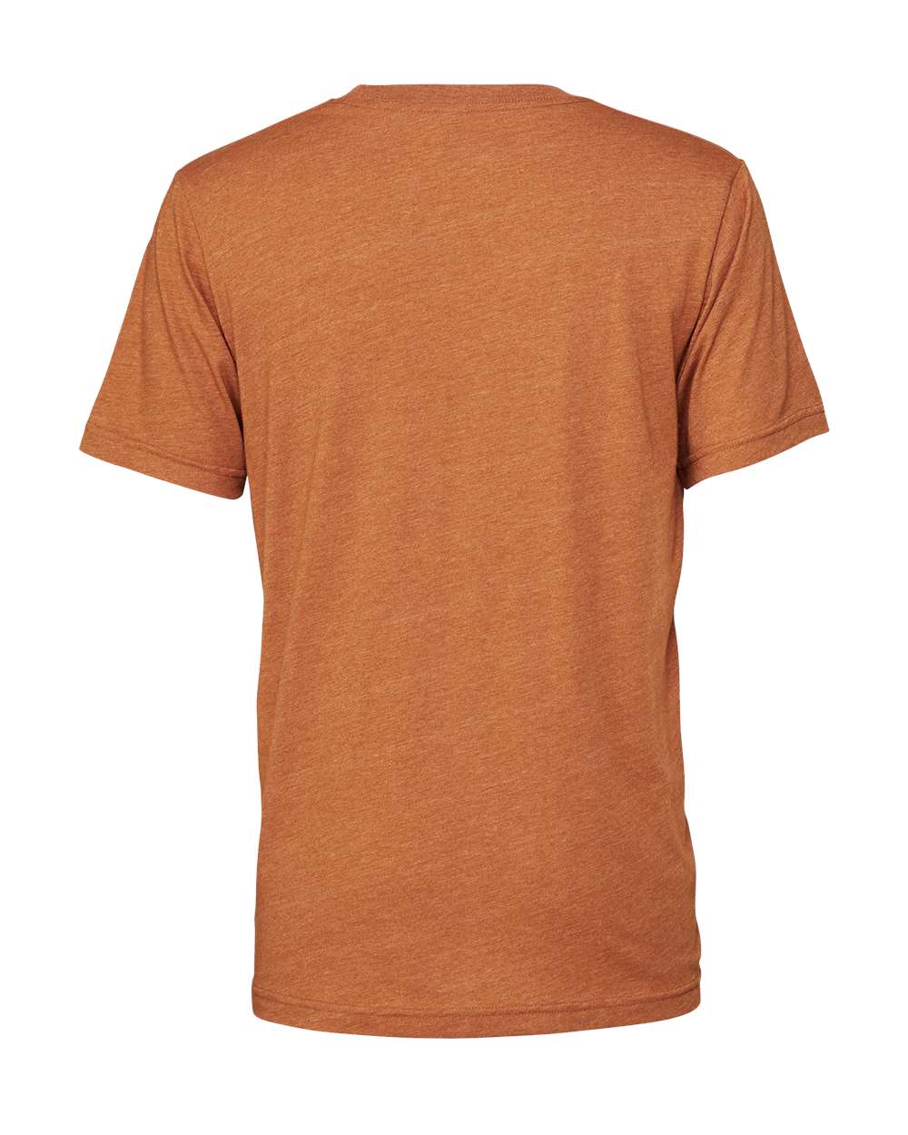 BELLA + CANVAS 3001CVC CVC Jersey Tee - Heather Autumn - Back View