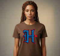 HOUSTON TEXAS City Pride DTF Transfer